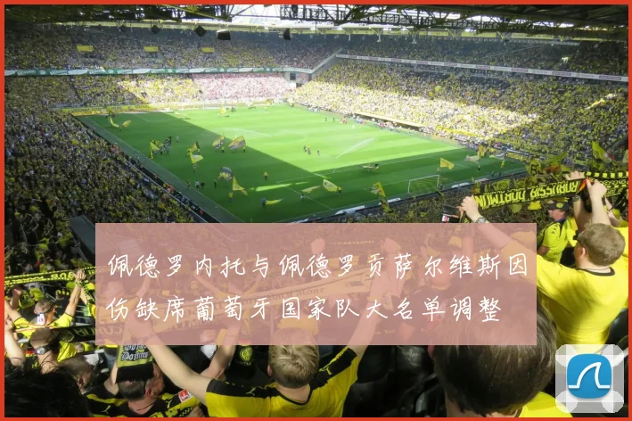 佩德罗内托与佩德罗贡萨尔维斯因伤缺席葡萄牙国家队大名单调整