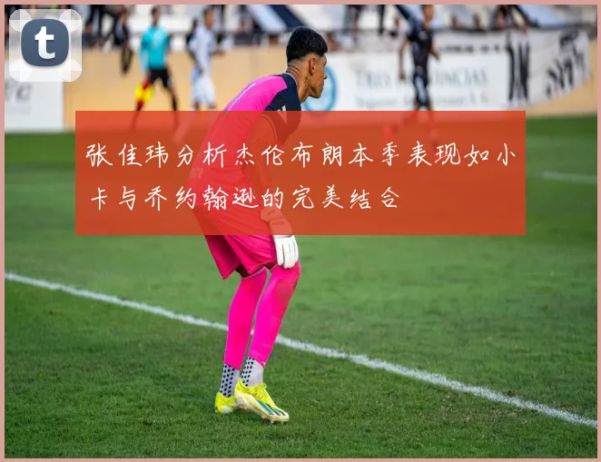 张佳玮分析杰伦布朗本季表现如小卡与乔约翰逊的完美结合