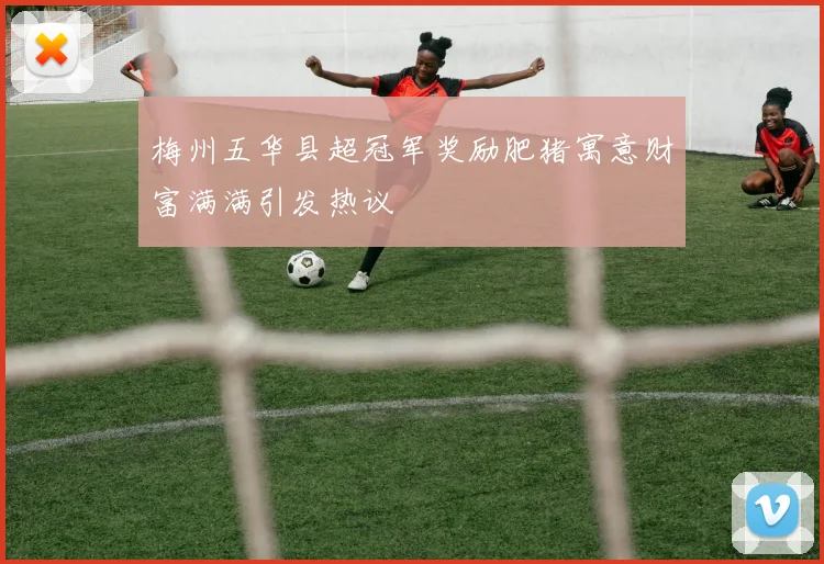 梅州五华县超冠军奖励肥猪寓意财富满满引发热议