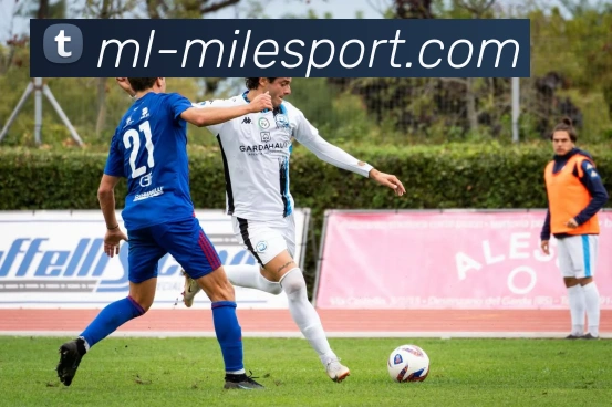 App Interface Preview