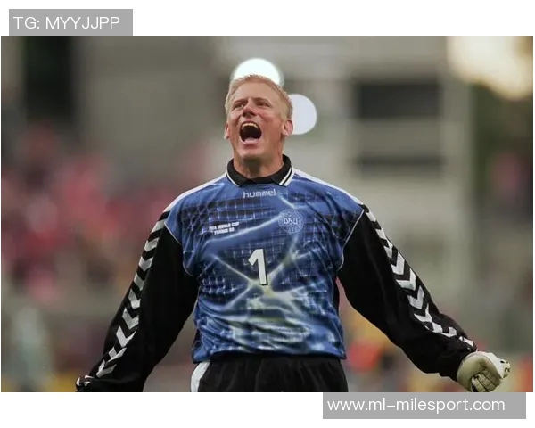 舒梅切尔：对拉门斯的评价需谨慎不宜施加过多压力